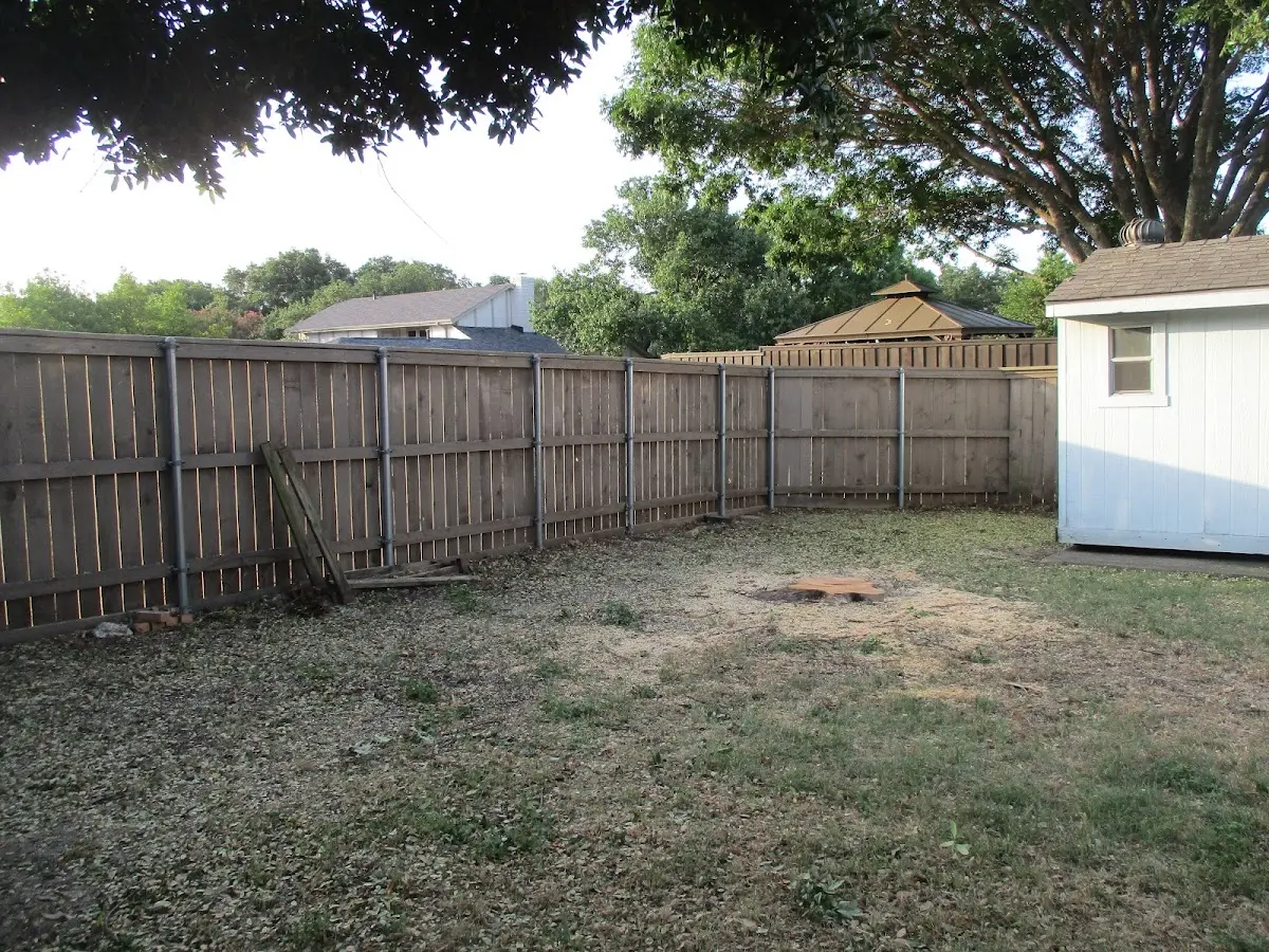Cleared yard after professional tree removal in Tompkinsville